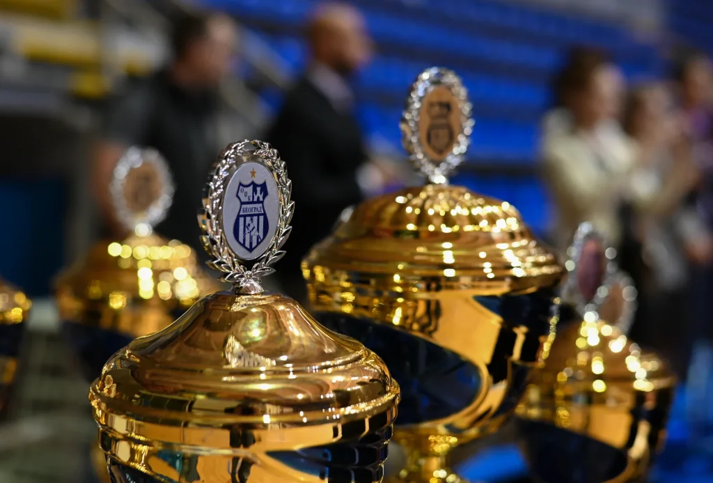 29. међународни меморијални турнир “Владан Петровић” 2025